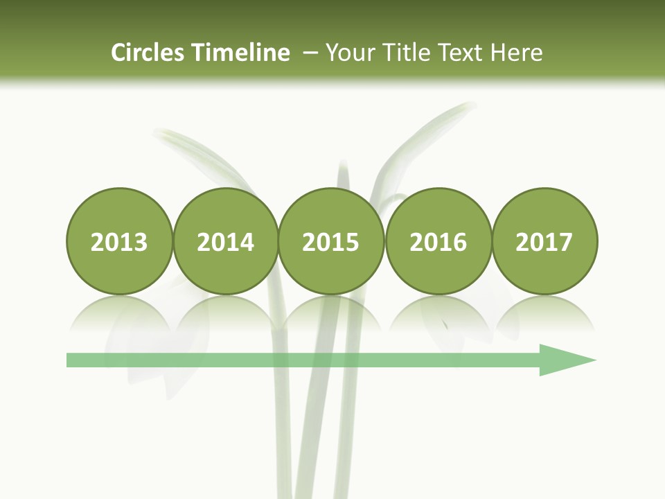 Fruhlingsbote Januar Blume PowerPoint Template