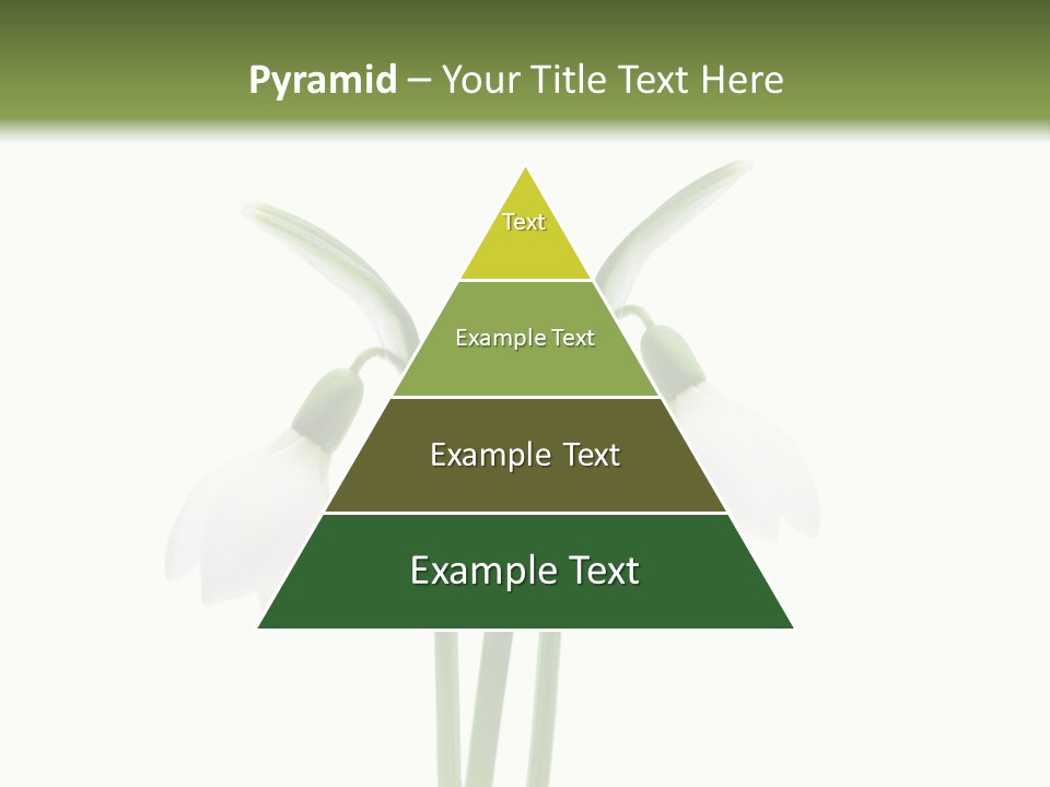 Fruhlingsbote Januar Blume PowerPoint Template