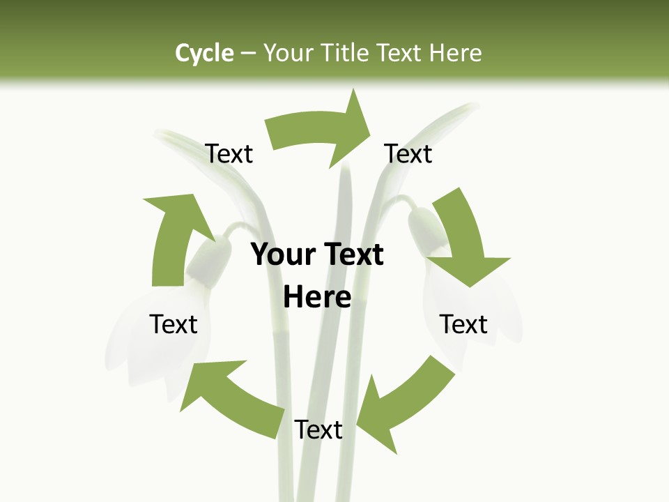 Fruhlingsbote Januar Blume PowerPoint Template