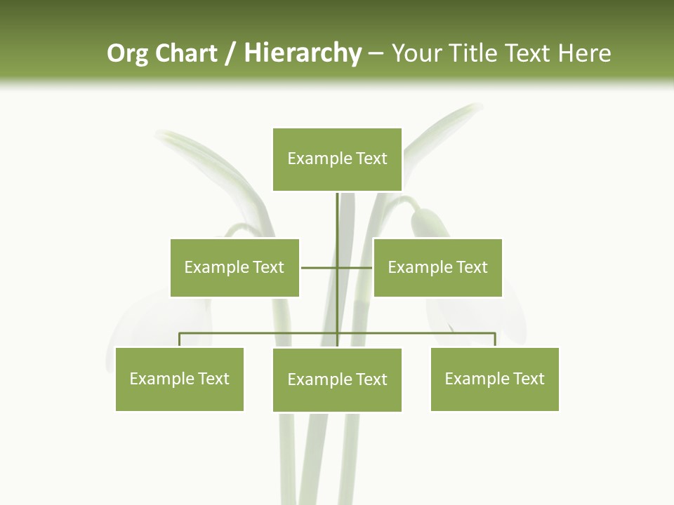 Fruhlingsbote Januar Blume PowerPoint Template