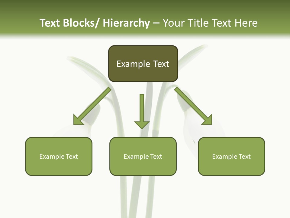 Fruhlingsbote Januar Blume PowerPoint Template