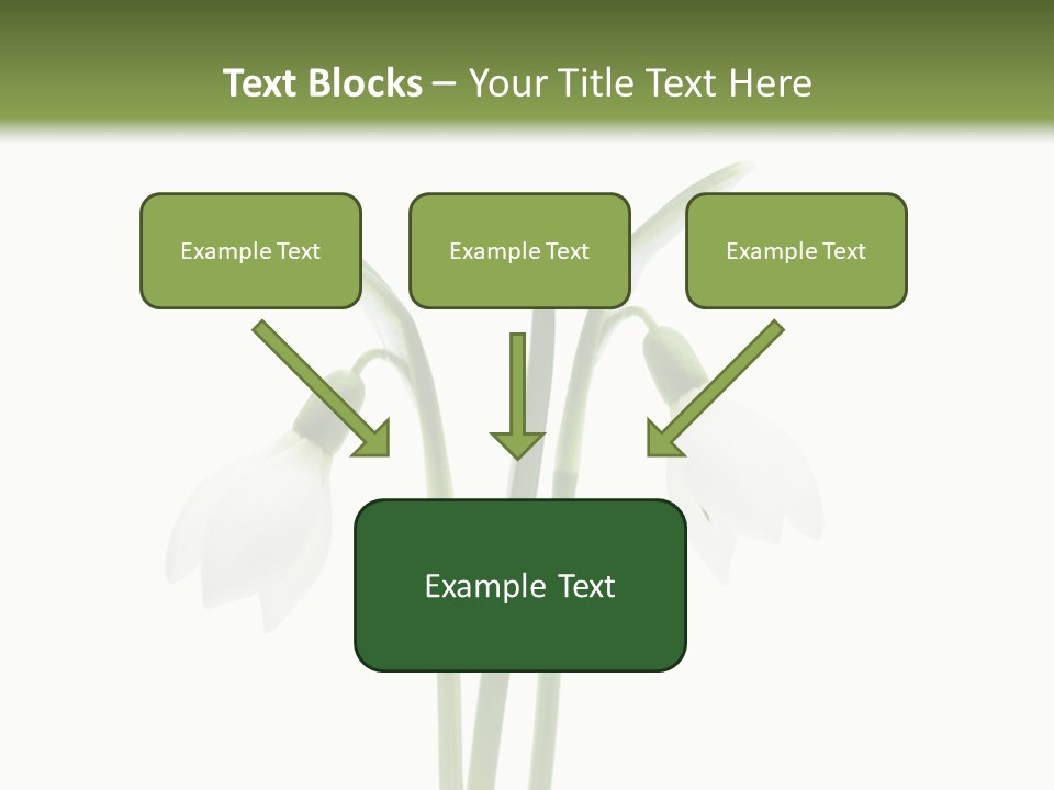 Fruhlingsbote Januar Blume PowerPoint Template