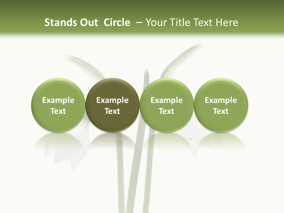 Fruhlingsbote Januar Blume PowerPoint Template