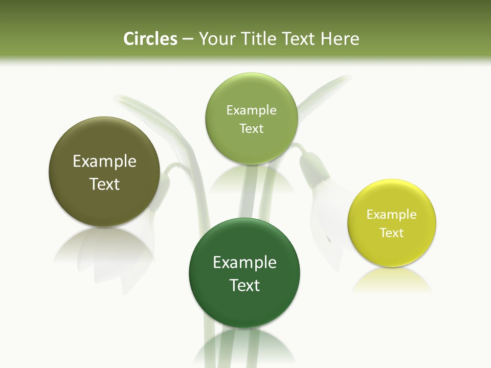 Fruhlingsbote Januar Blume PowerPoint Template