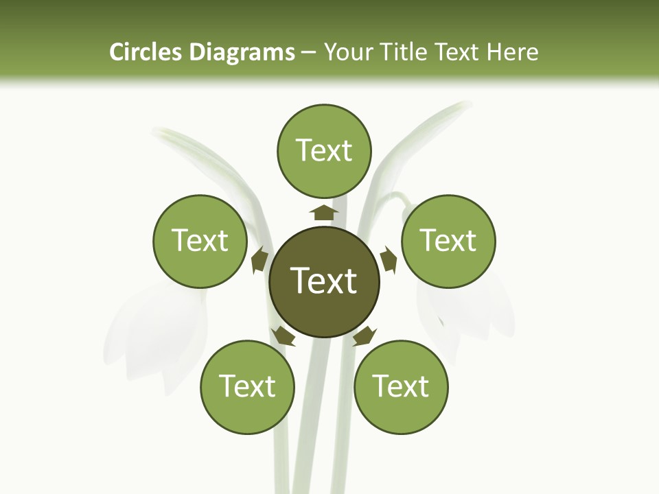 Fruhlingsbote Januar Blume PowerPoint Template