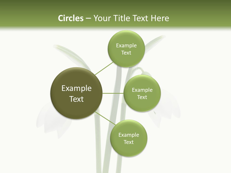 Fruhlingsbote Januar Blume PowerPoint Template