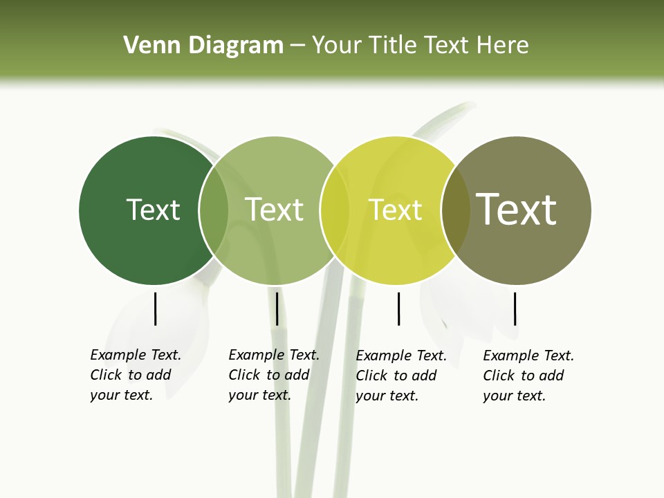 Fruhlingsbote Januar Blume PowerPoint Template