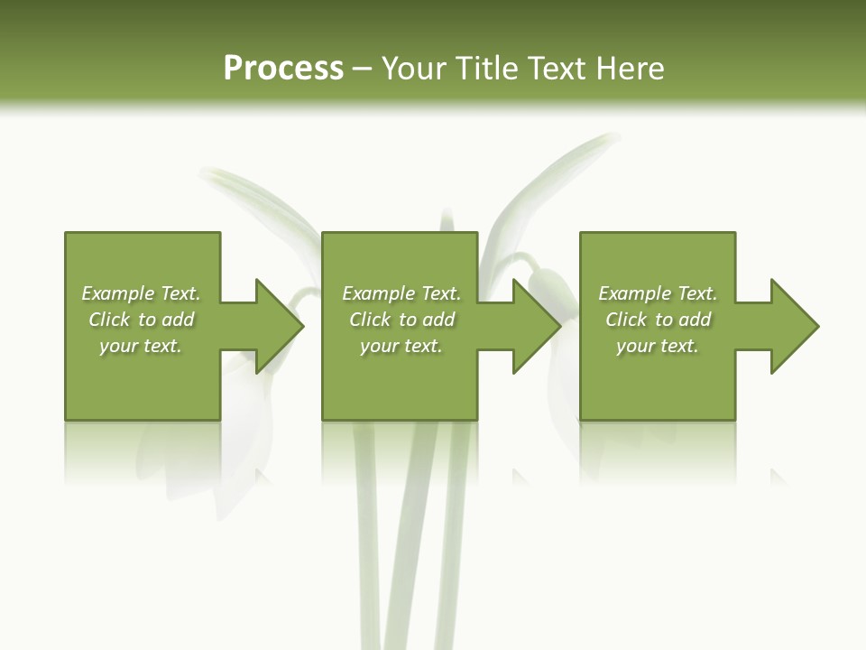 Fruhlingsbote Januar Blume PowerPoint Template