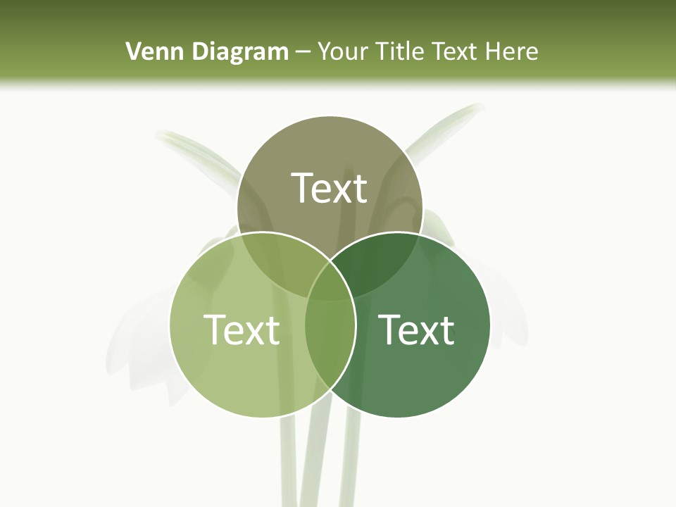 Fruhlingsbote Januar Blume PowerPoint Template