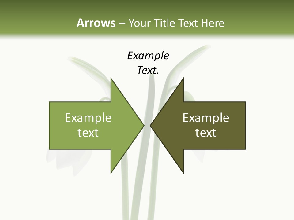 Fruhlingsbote Januar Blume PowerPoint Template