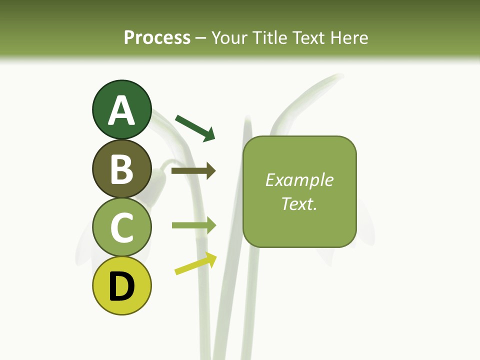 Fruhlingsbote Januar Blume PowerPoint Template