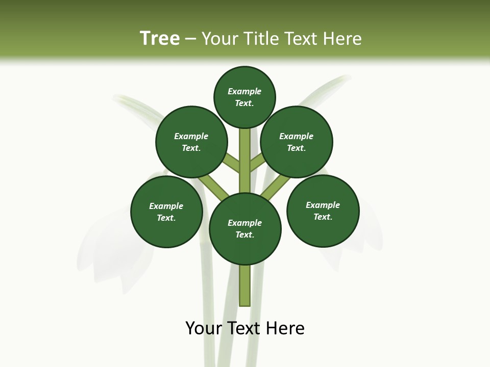 Fruhlingsbote Januar Blume PowerPoint Template