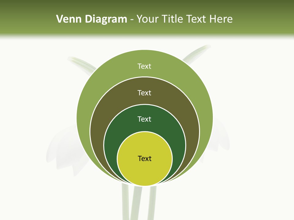 Fruhlingsbote Januar Blume PowerPoint Template