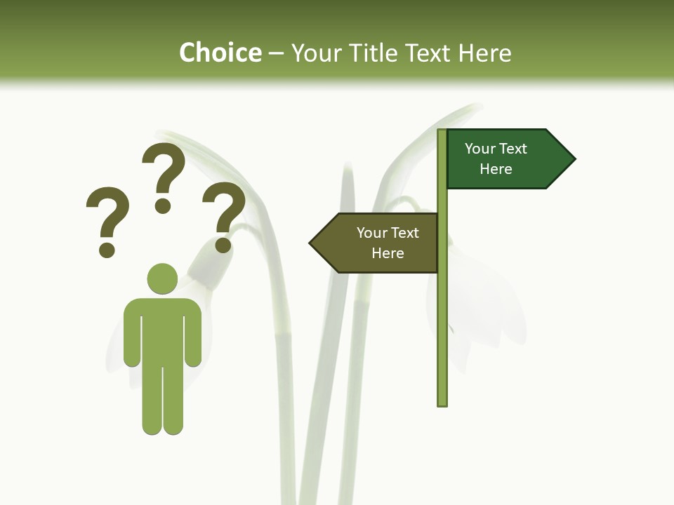 Fruhlingsbote Januar Blume PowerPoint Template