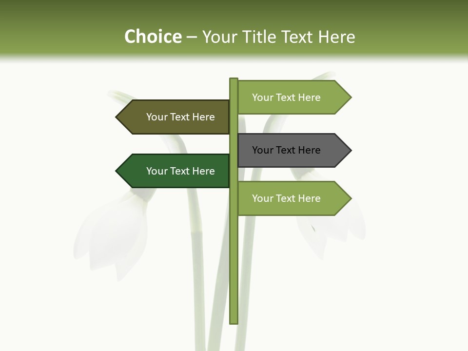 Fruhlingsbote Januar Blume PowerPoint Template