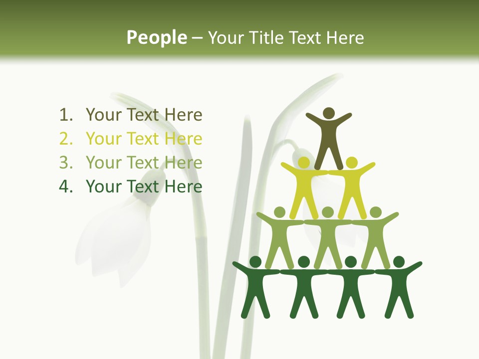 Fruhlingsbote Januar Blume PowerPoint Template