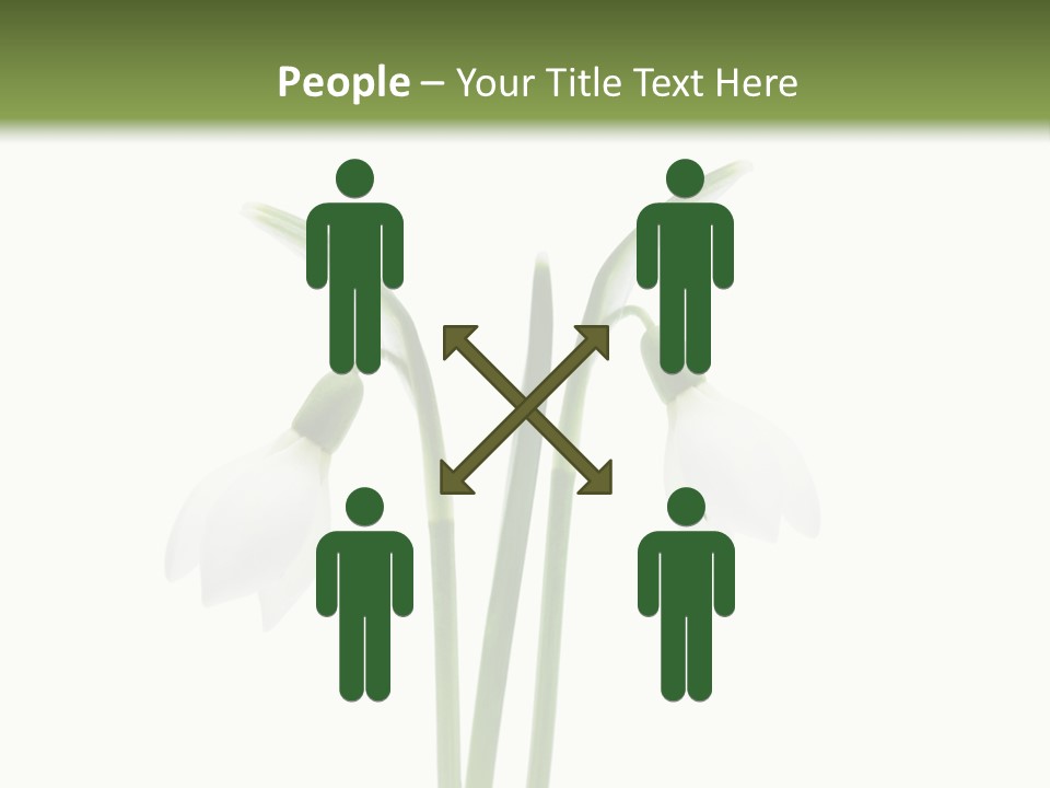 Fruhlingsbote Januar Blume PowerPoint Template