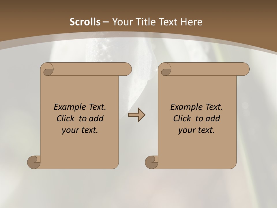 Beauty Pure White PowerPoint Template