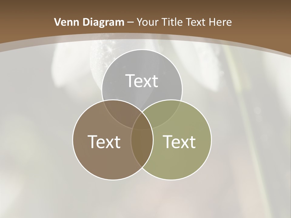 Beauty Pure White PowerPoint Template