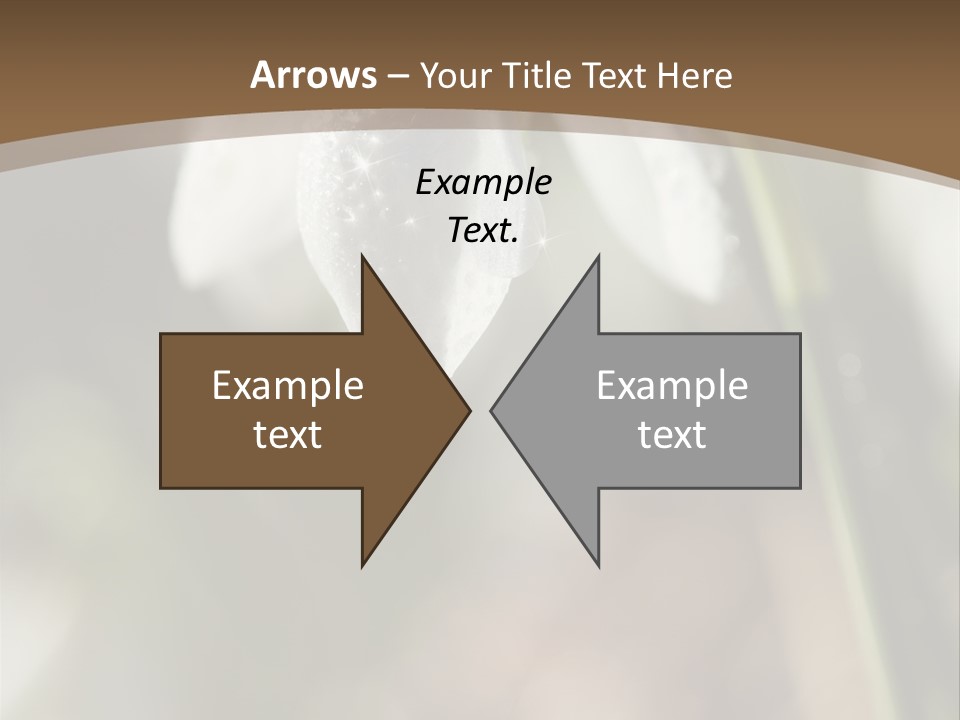 Beauty Pure White PowerPoint Template