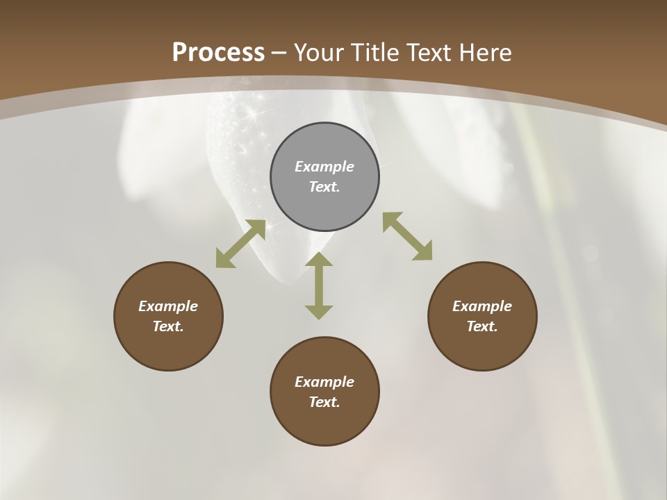 Beauty Pure White PowerPoint Template