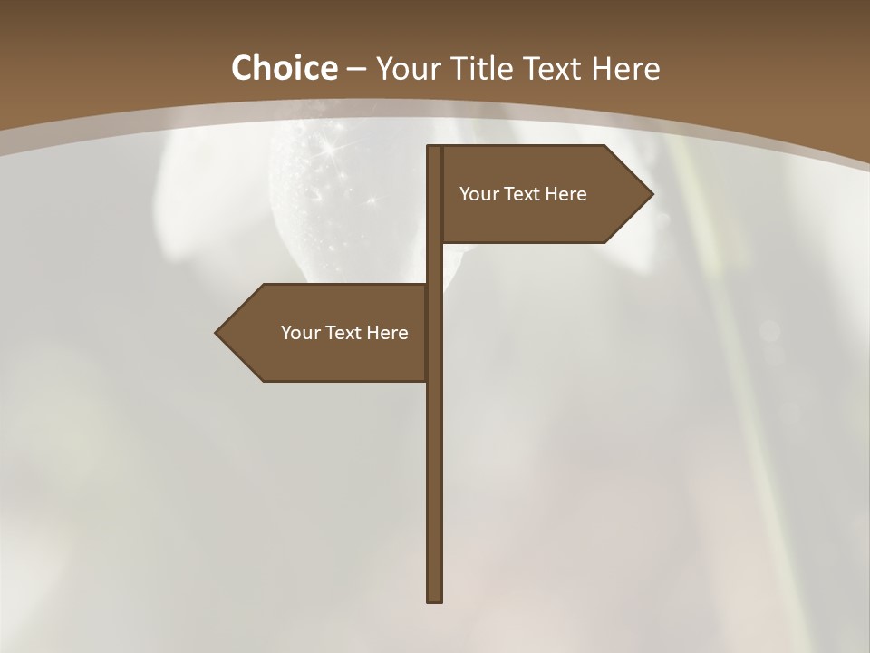 Beauty Pure White PowerPoint Template