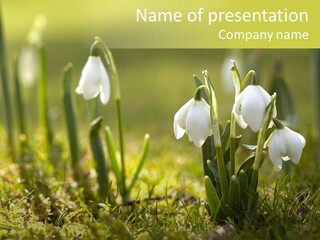 Garden Springflower Day PowerPoint Template