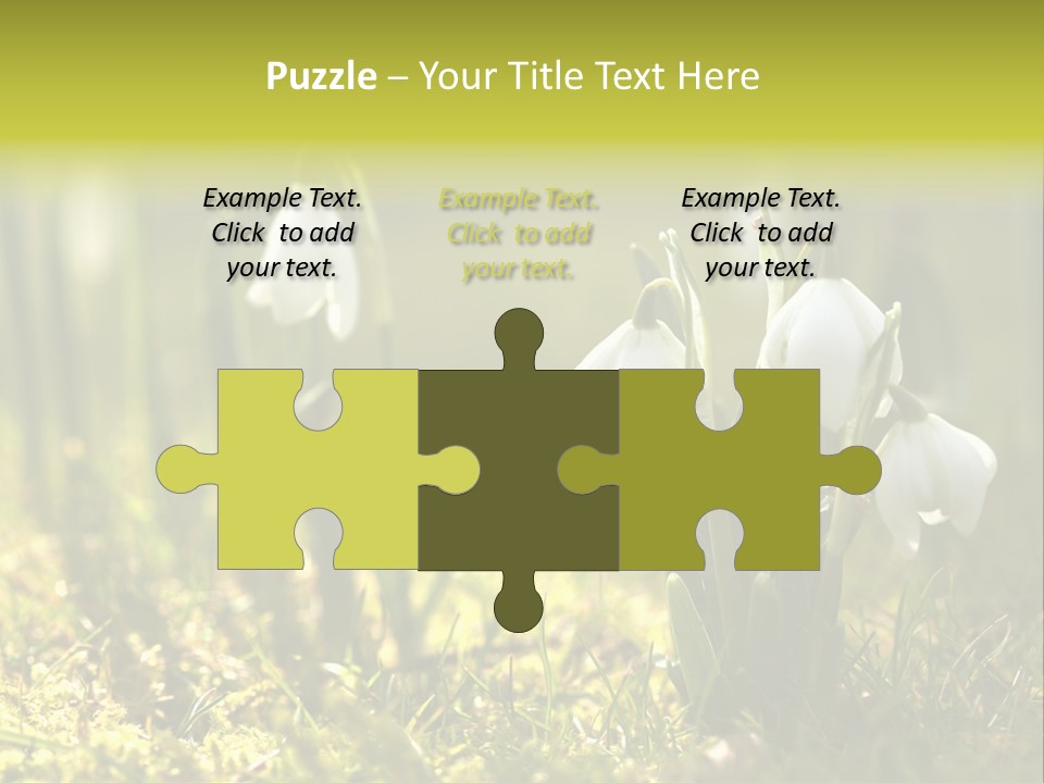 Garden Springflower Day PowerPoint Template