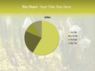 Garden Springflower Day PowerPoint Template