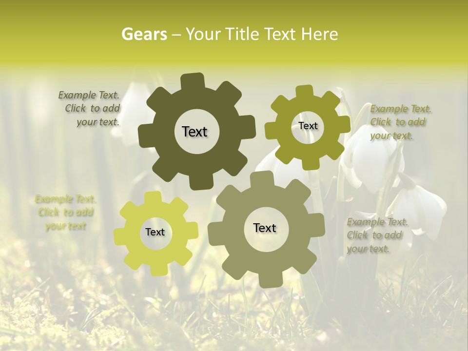 Garden Springflower Day PowerPoint Template