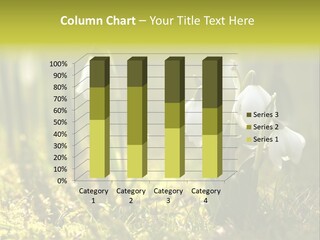 Garden Springflower Day PowerPoint Template