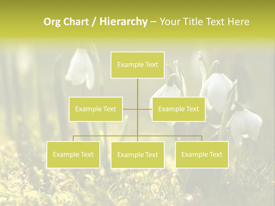 Garden Springflower Day PowerPoint Template