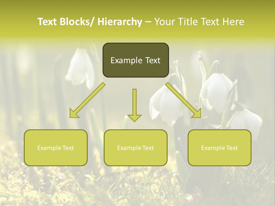 Garden Springflower Day PowerPoint Template