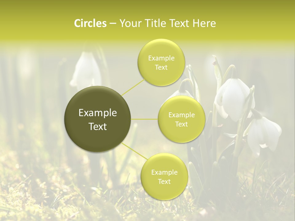 Garden Springflower Day PowerPoint Template