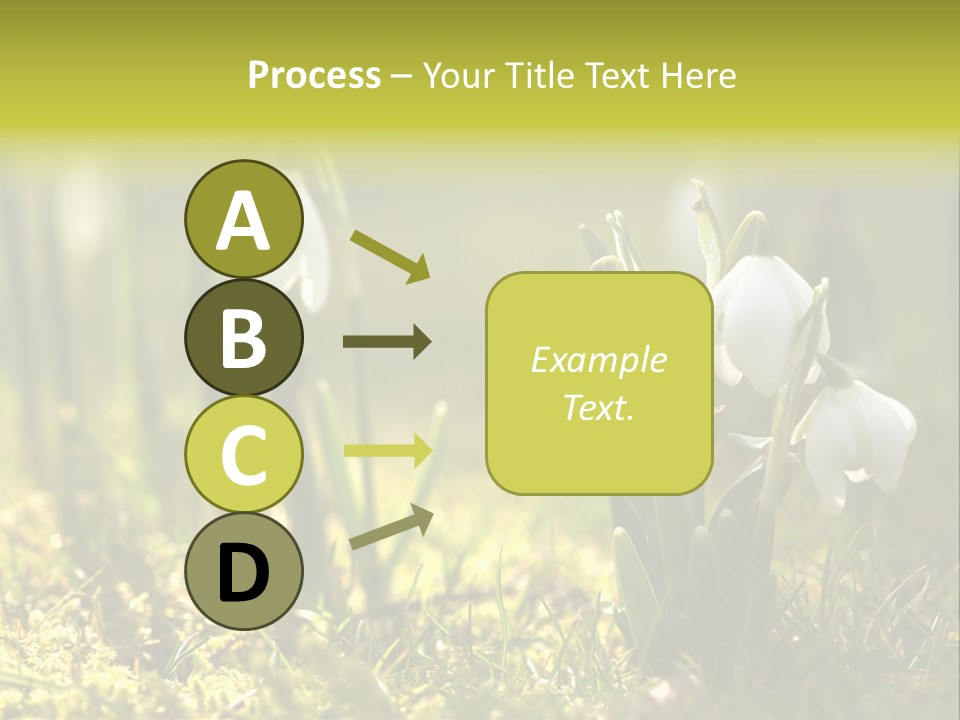 Garden Springflower Day PowerPoint Template