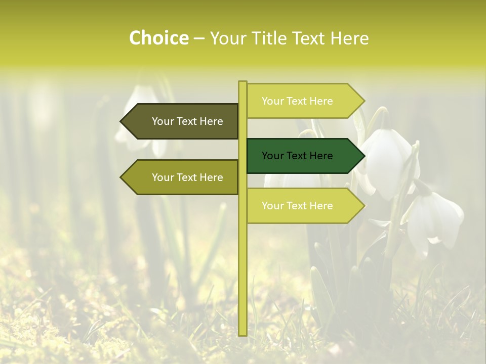 Garden Springflower Day PowerPoint Template