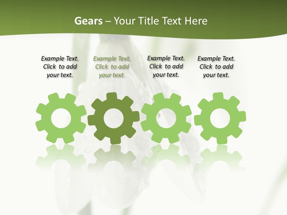 Snowdrop White Morning PowerPoint Template