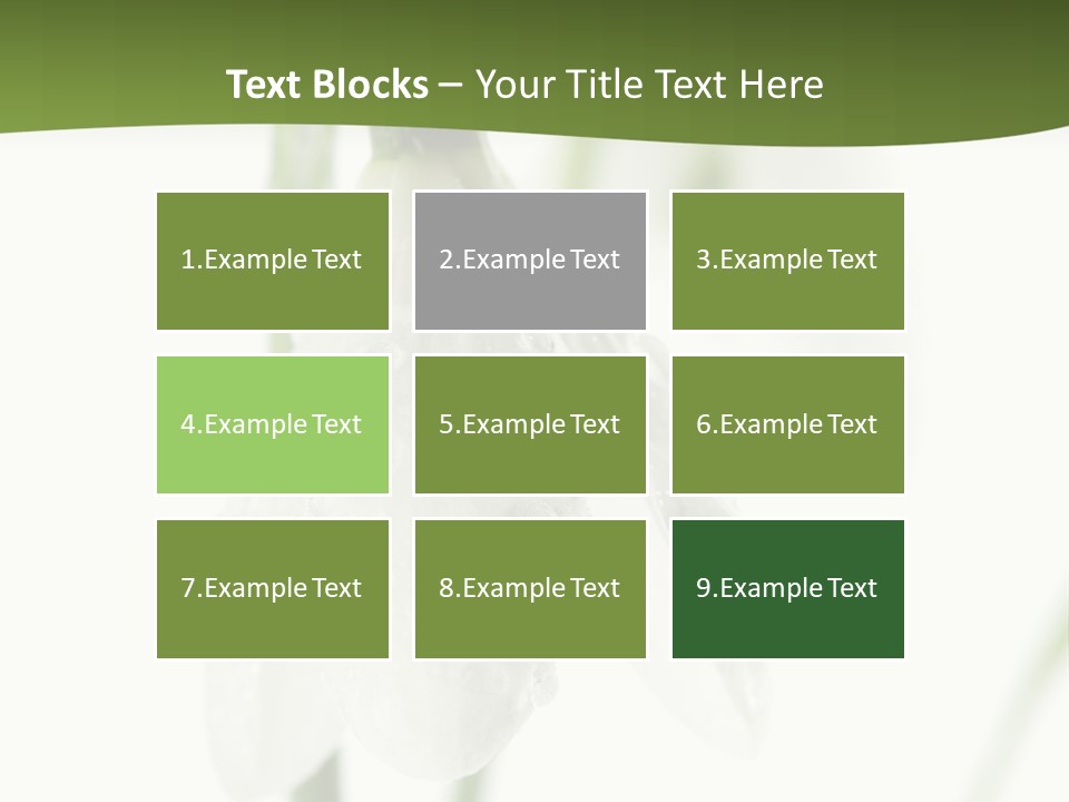 Snowdrop White Morning PowerPoint Template