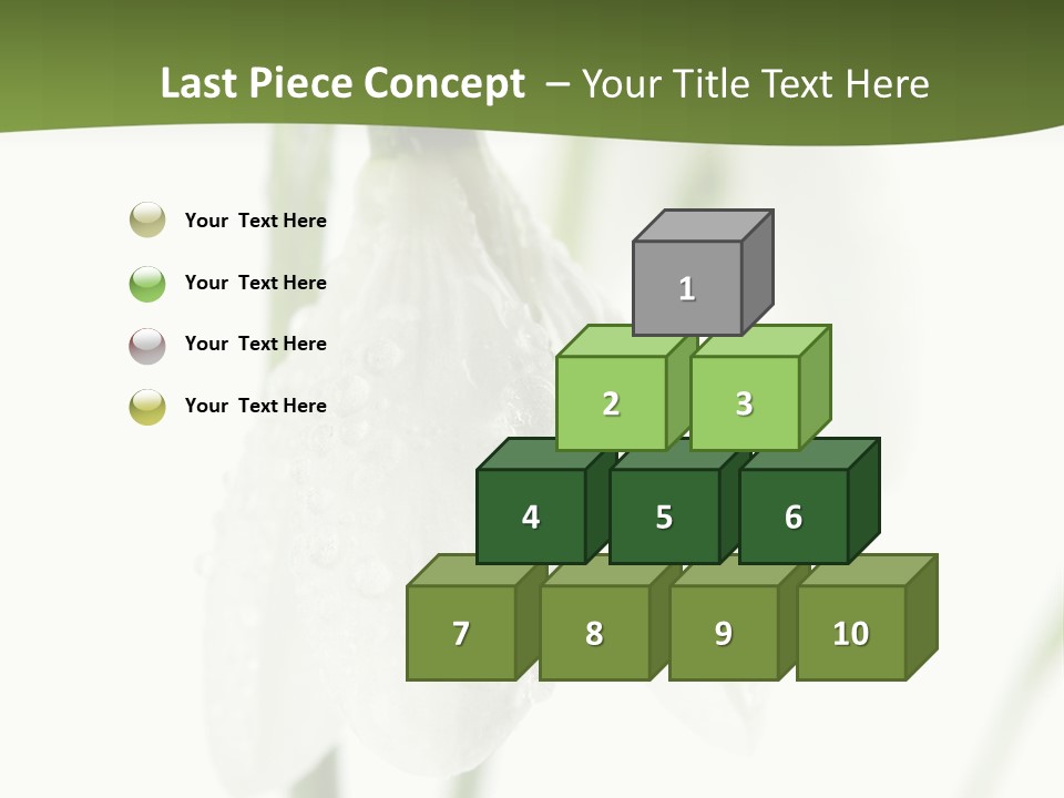 Snowdrop White Morning PowerPoint Template