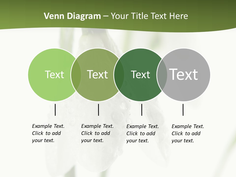 Snowdrop White Morning PowerPoint Template