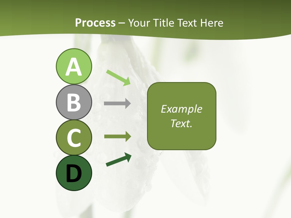 Snowdrop White Morning PowerPoint Template