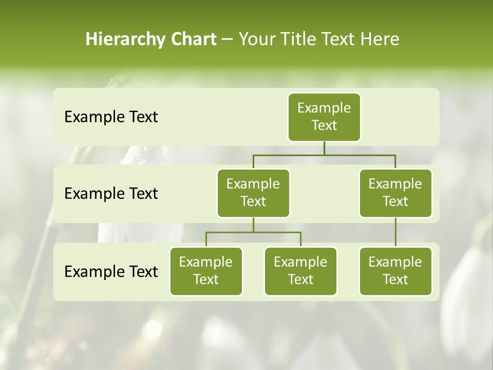 Growing Detail Grow PowerPoint Template