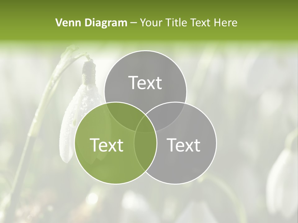 Growing Detail Grow PowerPoint Template