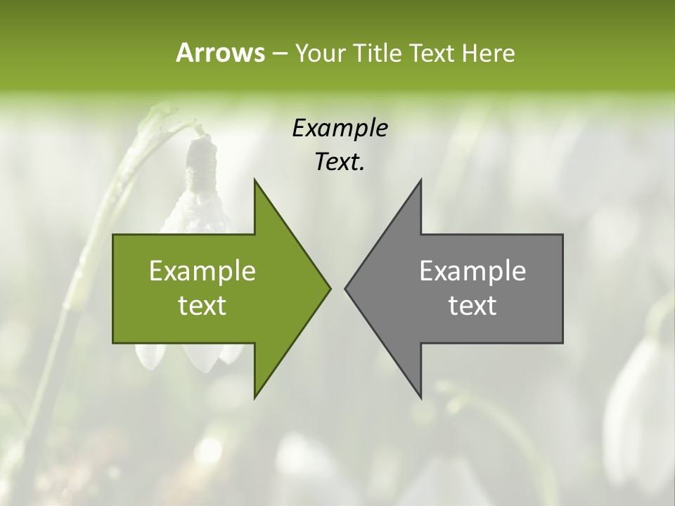 Growing Detail Grow PowerPoint Template