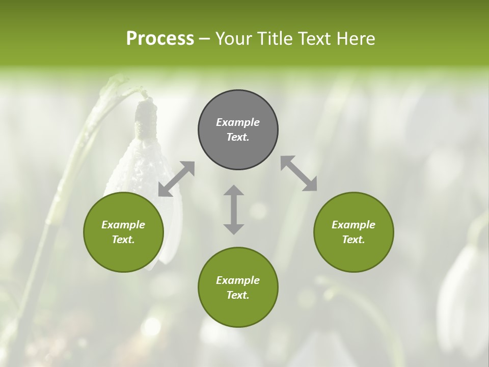 Growing Detail Grow PowerPoint Template