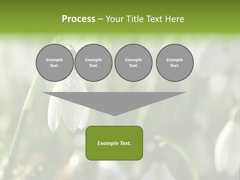 Growing Detail Grow PowerPoint Template