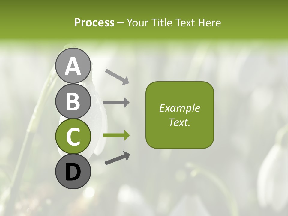 Growing Detail Grow PowerPoint Template