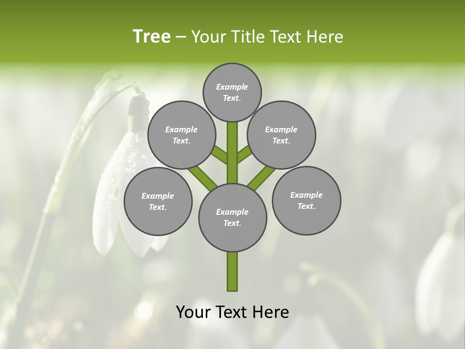 Growing Detail Grow PowerPoint Template