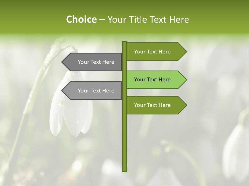 Growing Detail Grow PowerPoint Template
