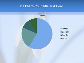 Day Park Blossom PowerPoint Template